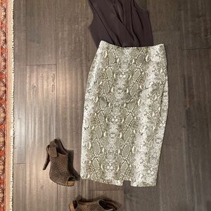 Diane von Furstenberg python print pencil skirt in a neutral snake pattern.